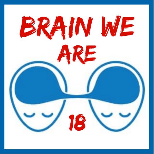 Brain We Are CZ